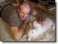 Bichon á poil frisé, Bichon Frise