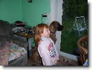 Deutsche Dogge