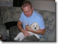 Bichon á poil frisé, Bichon Frise