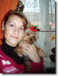 Jorkšírský terier, Yorkshire Terrier,
