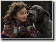 Deutsche Dogge