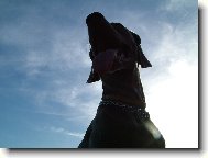 Weimaraner, Weimaraner Vorsterhund