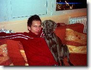Weimaraner, Weimaraner Vorsterhund