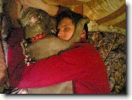 Weimaraner, Weimaraner Vorsterhund