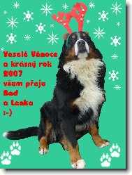 Berner Sennenhund
