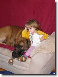 Deutsche Dogge