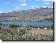 New Zealand
