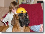 Deutsche Dogge