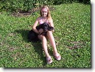 Deutsche Dogge