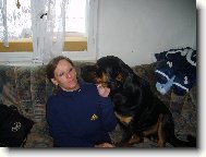Rottweiler