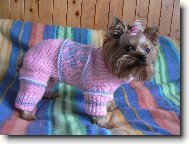 Jorkšírský terier, Yorkshire Terrier,