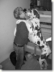 Deutsche Dogge