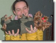 Jorkšírský terier, Yorkshire Terrier,