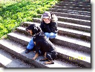 Rottweiler