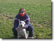 Dogo Argentino