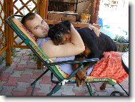 Rottweiler