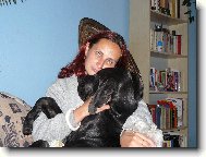 Deutsche Dogge