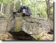 Deutscher Kurzhaariger Vorstehhund