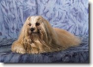 Lhasa