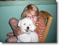 Bichon á poil frisé, Bichon Frise