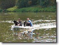 Berner Sennenhund