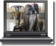 icu, Shih-Tzu