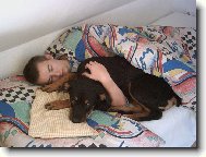 Rottweiler