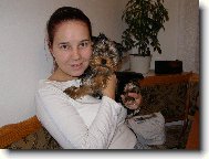 Jorkšírský terier, Yorkshire Terrier,