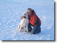 Dogo Argentino