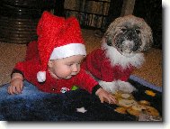icu, Shih-Tzu