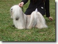 Lhasa