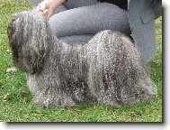 Lhasa