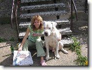Dogo Argentino