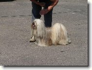 Lhasa
