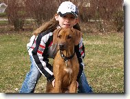 Rhodesian Ridgeback