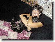 Bouledogue francais, French Bulldog