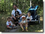 Berner Sennenhund