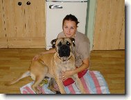 Bullmastiff