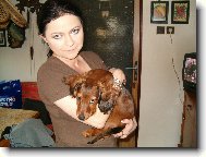 Dachshund \(teckel\) \(Dog standard\)