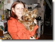 Jorkšírský terier, Yorkshire Terrier,