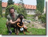 Rottweiler