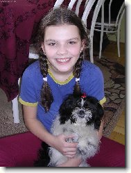 icu, Shih-Tzu