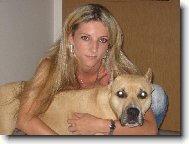 American Staffordshire Terrier