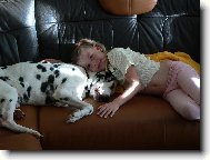 Dalmatinac, Dalmatian