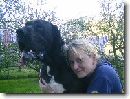 Deutsche Dogge
