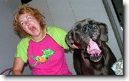 Deutsche Dogge
