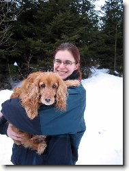 American Cocker Spaniel
