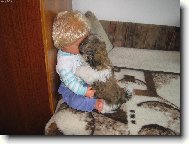 icu, Shih-Tzu