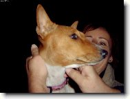 Congo Dog