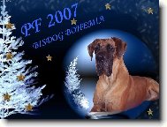 Deutsche Dogge